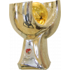 Türkiye Süperkupa Şampiyonu